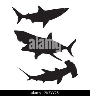 Vector Set Of Sharks Silhouettes Illustration Isolated On White Background Stock Vector