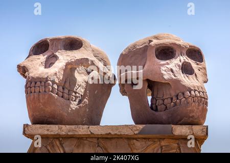 Serengeti, Tanzania 18.09.2022: Olduvai Gorge Museum (Ngorongoro Conservation Area). Statue on the entrance. Skulls of Paranthropus (left) and Homo Ha Stock Photo