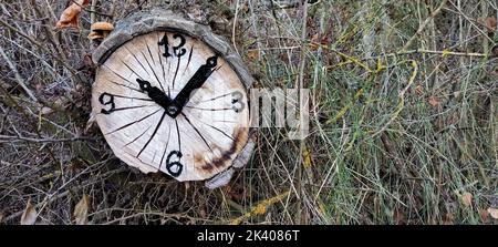 Clock in the middle of nature built on a dry tree trunk. it is 10 oclock in the morning, concept of the passage of time Stock Photo