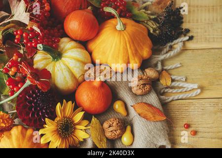 Happy Thanksgiving! Stylish pumpkins, autumn flowers, berries, leaves and nuts on cozy warm scarf on rustic wooden table. Autumn composition. Seasons Stock Photo
