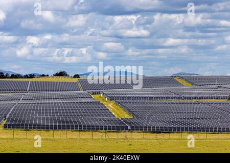 large-scale solar installations on former pasture land, Spain, Extremadura, Malpartida de Caceres Stock Photo