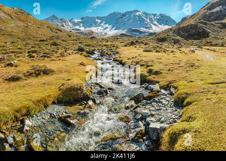 The Furggabach, Dischma valley, Piz Grialetsch, Scaletta glacier *** Local Caption ***  Dürrboden,  Graubünden, Switzerland, landscape, field,  meadow Stock Photo