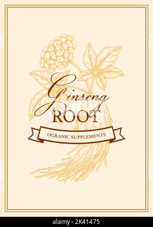 Hand drawn ginseng packaging design. Botanical vector illustration in sketch style Stock Vector