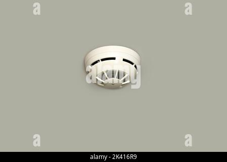 White Smoke alarm on the room ceiling Stock Photo