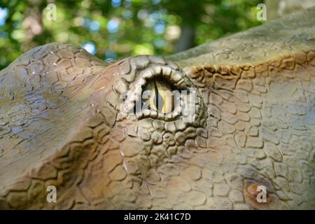 Model of a dinosaur in Dino Parc in Rasnov, Romania Stock Photo