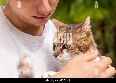 Unrecognizable cat owner young man petting relaxed white and brown cat in his arms in the garden Stock Photo