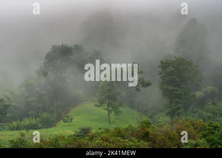 Scenic tropical mountain landscape with fog on forest during monsoon season, Chiang Dao, Chiang Mai, Thailand Stock Photo