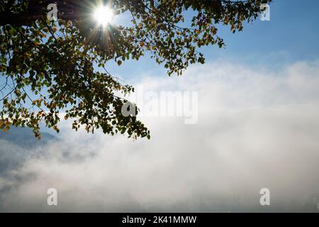 Early-morning haze over the Murg Valley near Gernsbach in Northern Black Forest, Rastatt district, Baden-Württemberg, Germany Stock Photo