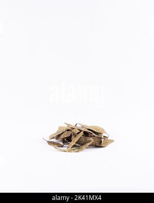 Dried eucalyptus leaves on white background. Eucalyptus leaves to prepare herbal tea on a white background. Stock Photo