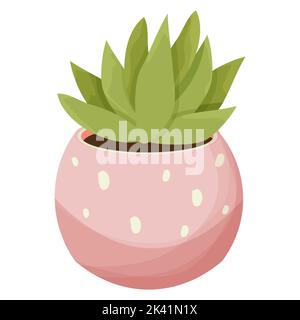 Succulent, home plant in pink pot with dots in cartoon style isolated on white background. . Vector illustration Stock Vector