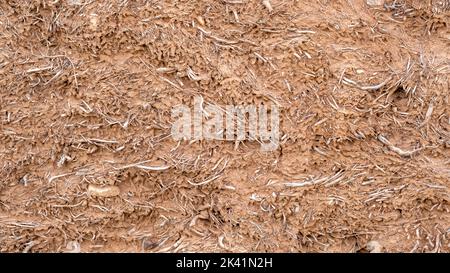 Close-up background of the wall of an old house made of clay mixed with straw. Old type of construction. Clay wall of straw and mud. Stock Photo