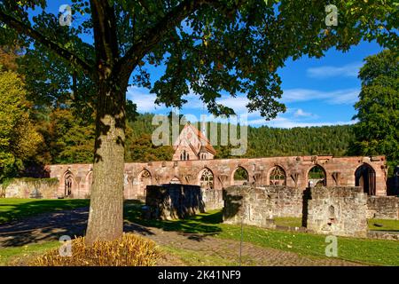 Hirsau abbey (former benedictine abbey): ruins of cloister and Lady chapel ,  near Calw in Northern Black Forest, Baden-Württemberg, Germany Stock Photo