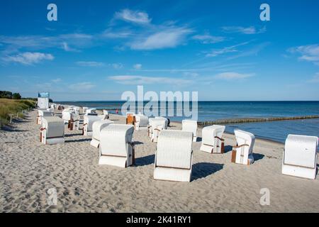 White traditional wicker beach baskets on the sandy beach at the Baltic Sea, with wooden breakwater in the sea and blue sky on the island of Poel, Ger Stock Photo
