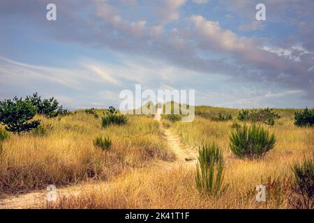 a sandy trail leading up a grass covered sand dune Stock Photo