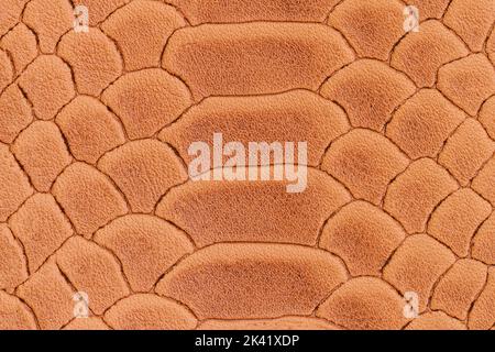 Texture of genuine leather close-up, embossed under skin of brown reptile, croco. natural background Stock Photo