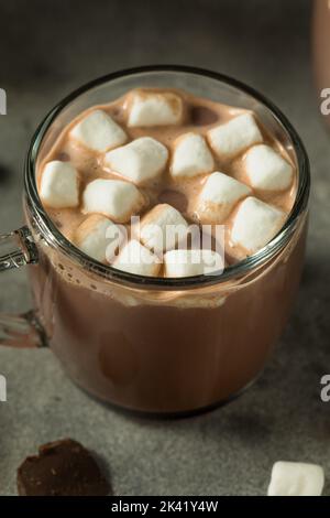 Warm Refreshing Hot Cocoa Chocolate with Marshmallows Stock Photo