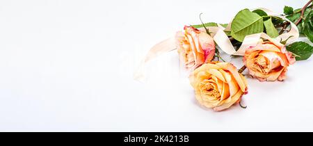 Bouquet of fresh delicate roses isolated on white background. Romantic gift concept, gentle flowers. Mothers, Valentines, or Woman's Day. Mockup, temp Stock Photo