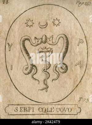 Illustration of Snakes with Egg, 1800 ca. Stock Photo