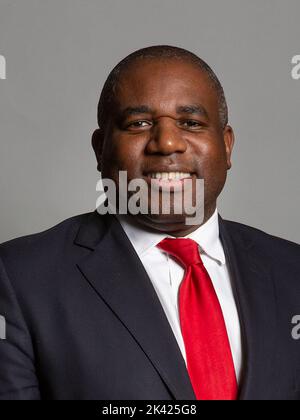 David Lammy MP - Secretary of State for Foreign, Commonwealth and ...