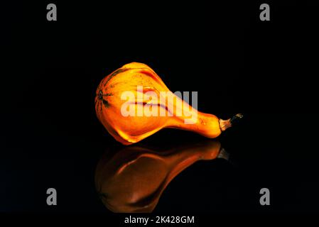 Small decorative pumpkin on black background with reflection. Stock Photo