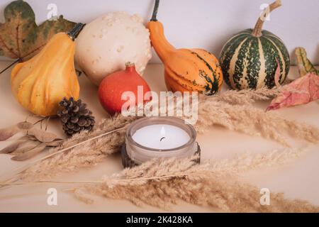 Burning candle and colorful pumpkins, autumn leaves and pampas grass on light beige table. Thanksgiving concept. Stock Photo