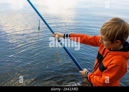 hands of a boy who holds in his hands a fishing rod with a fish caught on the hook Stock Photo
