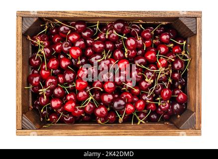 red cherries path isolated on white Stock Photo