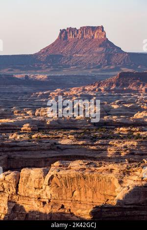 Winding canyons in the Cedar Mesa sandstone in the Maze District of Canyonlands NP, Utah, with Ekker Butte behind. Stock Photo