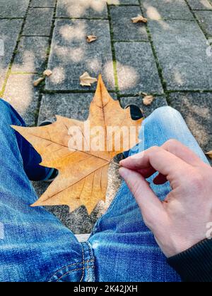 A sitting man holds a colorful maple leaf in his hand on a sunny autumn day. Beautiful autumn mood. Close up, point of view. Stock Photo