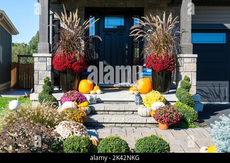 Colourful pumpkins, gourds and mums create a luxury halloween and thanksgiving landscaping decor. Stock Photo