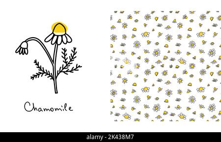 Seamless pattern with doodle black daisies on a white background. Chamomile linear ink wallpaper with flower element Stock Vector