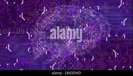 Image of network of connections and brain over blue background Stock Photo