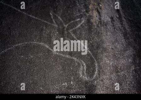 8700 years ago  stoneage hunters carved some three meter long Elk near nowadays Vågan in Bodø community in Nordland province in Norway. Stock Photo