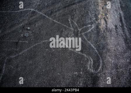 8700 years ago  stoneage hunters carved some three meter long Elk near nowadays Vågan in Bodø community in Nordland province in Norway. Stock Photo