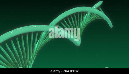 Image of green glowing 3D double helix DNA strand spinning on green ...