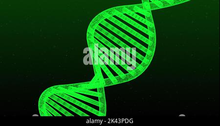 Image of green glowing 3D double helix DNA strand spinning on green ...