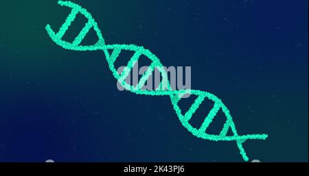Image of green glowing 3D double helix DNA strand spinning on blue background. Medicine genetics science concept digitally generated image. Stock Photo