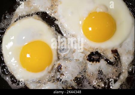 Close-up of two sunny side eggs cooking in bacon grease in frying pan Stock Photo