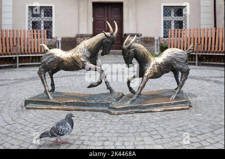 Poznan, Poland - The Fighting Billy Goats of Poznan. Monument on the Collegiate Church Square. Stock Photo