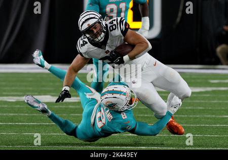 Cincinnati Bengals tight end Devin Asiasi (86) runs for the play during an  NFL football game against the Carolina Panthers, Sunday, Nov. 6, 2022, in  Cincinnati. (AP Photo/Emilee Chinn Stock Photo - Alamy