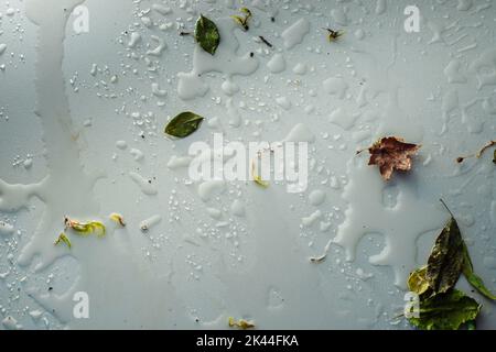 Rain texture on a light stone background, water heder with leaves and earth Stock Photo
