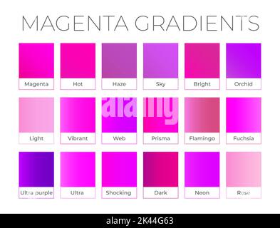 Magenta Pink Gradient Collection with Color Names Stock Vector