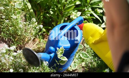 Woman pours liquid mineral fertilizer into watering can for garden plants Stock Photo
