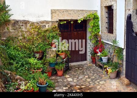 Corner with many flowers in a rustic house. Candelario. Salamanca. Spain Stock Photo