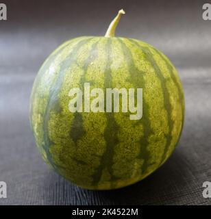 Traditional Ankara, Kazan, Plain Black Watermelon on textured black background, 'Piel De Sapo Watermelon' Stock Photo