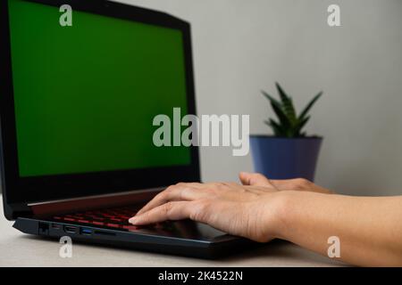 Laptop hands young woman close-up. Cozy atmosphere for working on a laptop. The concept of home schooling. doing business, remote work. An empty green Stock Photo