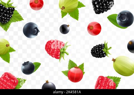 Flying raspberry, blackberry, gooseberry, currant, cranberry, and blueberry on a transparent background. Berries fall at different angles. Focused and Stock Vector