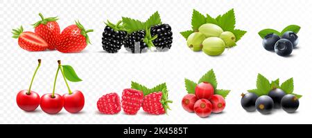 Berries mix - strawberry, raspberry, blackberry, gooseberry, cherry, currant and blueberry with green leaves, isolated on white background. Realistic Stock Vector