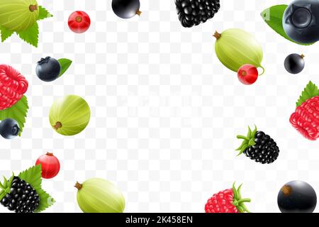 Flying raspberry, blackberry, gooseberry, currant, cranberry, and blueberry on a transparent background. Berries fall at different angles. Focused and Stock Vector