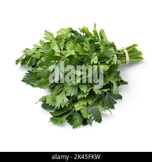 Bunch of fresh green celery leaves isolated on white background Stock Photo